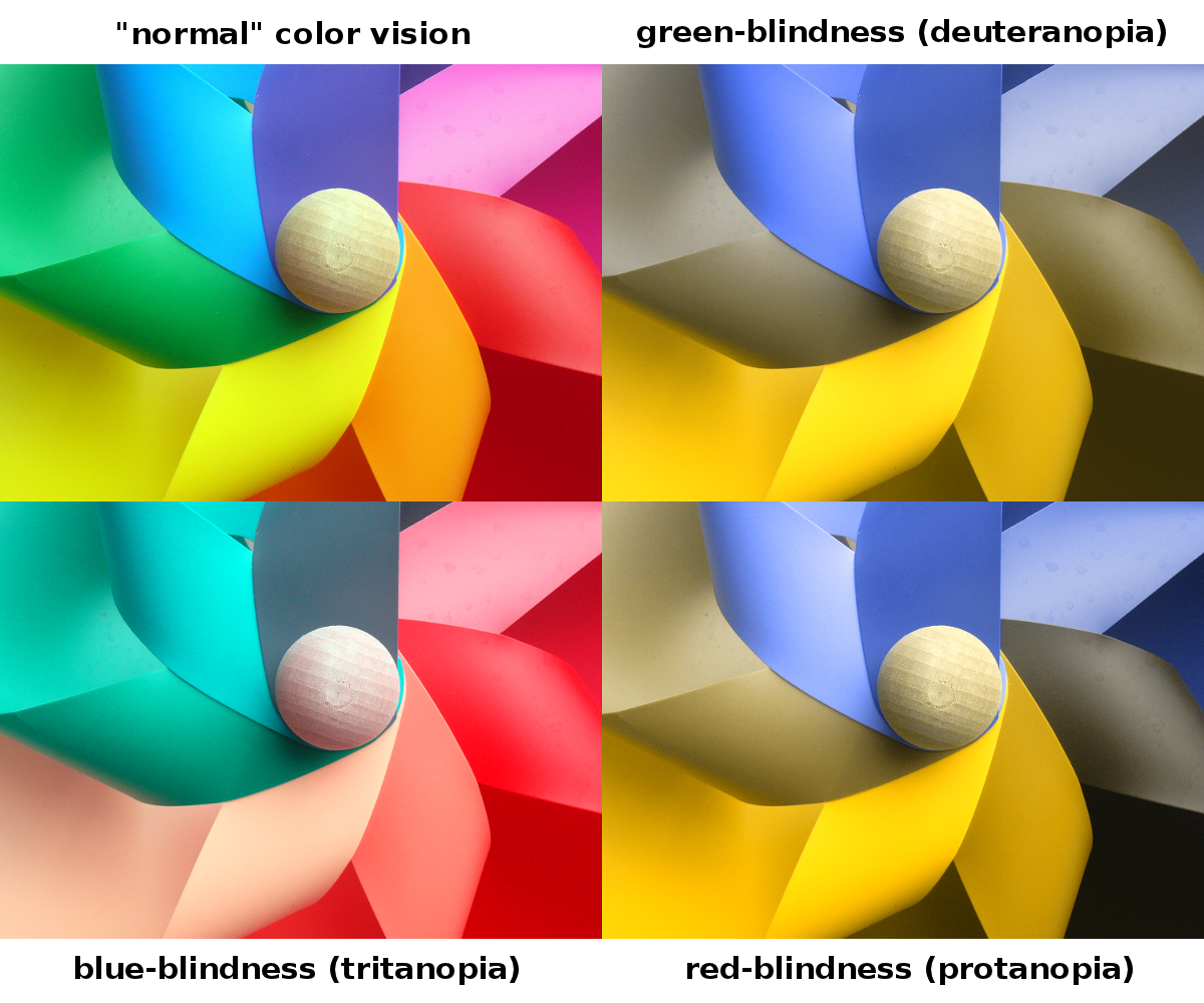 Comparison between the types of blindness; (a) Normal colour vision; (b) green-blindness (deuteranopia); (c) blue-blindness (tritanopia); (d) red-blindness (protanopia). (c) JOHANNES AHLMANN/ FLICKR.COM
