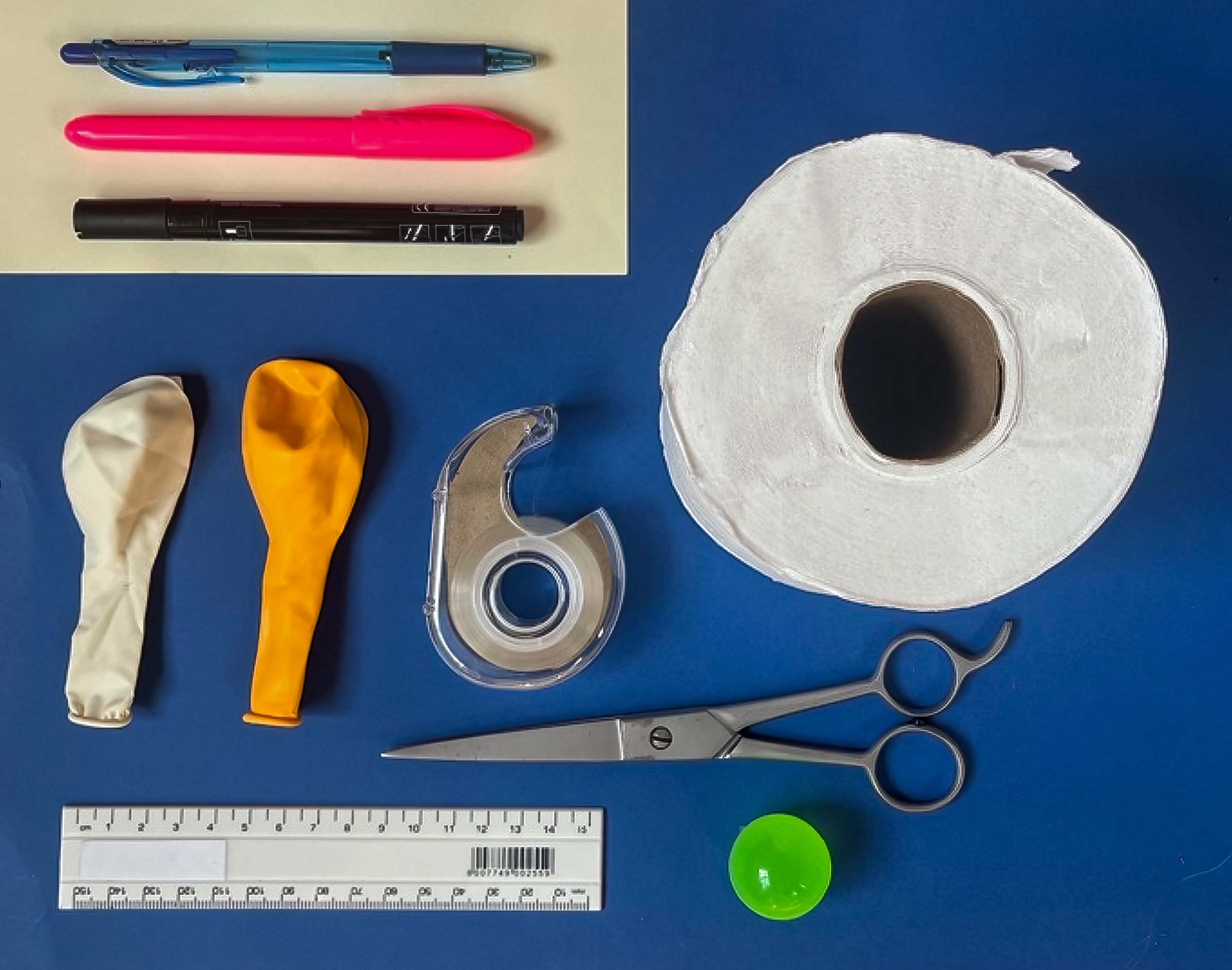 Figure 1 What you need to make the simulation model. (Photo: © ALTHEA LE ROUX CC BY-NC-SA 4.0)